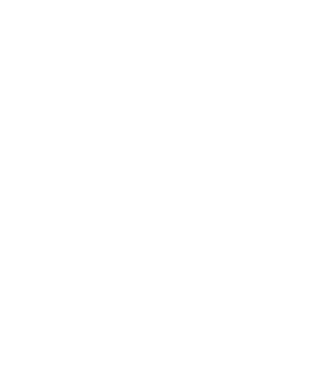 laundry detergent strips
